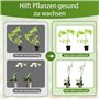 Tuteurs pour Plantes, 20 Pièces Tuteur Plante Interieur, 20 Tiges de Plantes Clips, 10 Tiges Tube d'extension, support pour plan