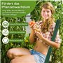 Tuteurs pour Plantes, 20 Pièces Tuteur Plante Interieur, 20 Tiges de Plantes Clips, 10 Tiges Tube d'extension, support pour plan