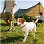 Longe pour Chien 120 cm,Laisse élastique Animal avec Poignée Rembourrée,Corde Chien Amortisseur,pour Petits, Moyens et Gros Chie