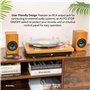 tourne-disque vinyle avec haut-parleur
