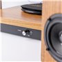 Roxel VRP-90 Tourne-disque avec haut-parleurs stéréo, tourne-disque vinyle avec haut-parleur, 3 vitesses et 3 tailles pour diver