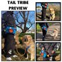 TAIL TRIBE Sac de promenade imperméable pour chien avec doublure amovible, accessoires de promenade pour chien, gamelle, sacs à 