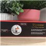 Shamrock Gift Company Lot de 3 balles de golf officielles Guinness Toucan