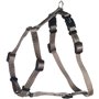 Flamingo Harnais pour Chien H Ziggi Greige XS - 25 à 40cm 10mm - Réglable en continu - avec Anneau pour Attacher Une Laisse - av