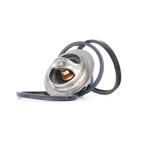 GATES Thermostat TH13783G1