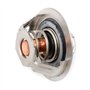 GATES Thermostat TH13783G1