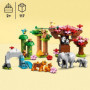 LEGO 10974 DUPLO Animaux Sauvages d'Asie. de 2 a 5 Ans. Figurines de Bébé Élépha 109,99 €