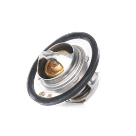 GATES Thermostat TH23389G1