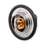 GATES Thermostat TH23389G1