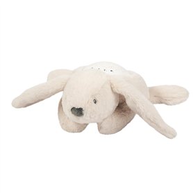 Nattou Veilleuse LED Koala Bear
