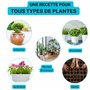 Terre d'Auguste - Terreau Universel 6L - pour Plantes d'Intérieur, Gazon, Plantes Vertes - Sac Refermable, Qualité Supérieure