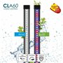 Verseau Ciano