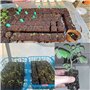 Transplant Kit de blocage de sol de 5,1 cm, outil de blocage de sol, outil de blocage de sol, outil de plantation facile pour pl