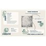 TD Collection - Emballage Scrapbooking 12 x 12 pouces, Papier Scrapbooking, Papier Décor, Papier Carton - 310 x 320 mm (SLS-046 
