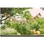 ProArts Lot de 20 guirlandes de fanions – Guirlande d'anniversaire 15 x 10 cm reliée à un cordon de 3 m – Guirlandes pour mariag