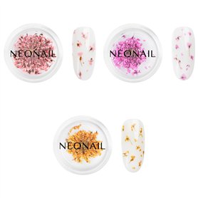 NEONAIL Fleurs Séchées - Set de décoration d'ongles - Nail Art Ongles - Deco Ongle Nail Art - Accessoire Ongle - 3 couleurs - ro