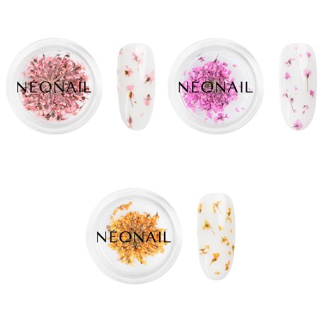NEONAIL Fleurs Séchées - Set de décoration d'ongles - Nail Art Ongles - Deco Ongle Nail Art - Accessoire Ongle - 3 couleurs - ro