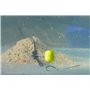 Haldorado SpéciMethod Rig5 Hameçon sans ardillon Taille 12 Ligne 0,18 mm Aiguille d'Appât 7 mm