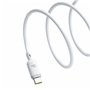 Câble USB-C 3.1 Baseus P10377704213-00