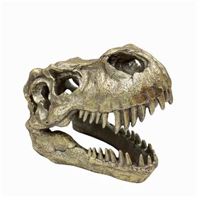 OUTOUR Tyrannosaurus Rex Réplique fossile pour la maison et le bureau Décoration Man-Cave Table de collection ou Trophée Faux-ta