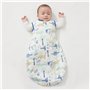 Duomiaomiao Gigoteuse d'hiver pour bébé de 0 à 6 mois, 100 % coton, couverture portable pour nouveau-né, dinosaure