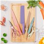 Set de couteaux de chef en boîte pour la cuisine