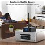 HiFi Musique depuis TV/PC vers Subwoofer/Ha