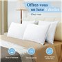 Oreiller en Microfibre Moelleux