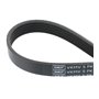 SKF VKMV5PK1145 Courroie Multi-V