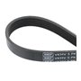 SKF VKMV5PK1230 Courroie mu-V lâche pour