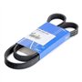 SKF Courroie à nervures trapézoïdales VKMV5PK1150