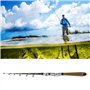 canne à pêche télescopique en fibre de carbone