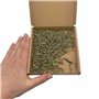 Lot de 500 vis à bois en acier zingué Jaune 2,5 x 16 mm Vis à bois pour panneaux d'aggloméré Vis universelles Pozi-Drive PZ enti