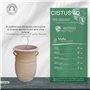 Kreta Keramik Céramique crète | amphore de Plante en Terre Cuite antigel Faite Main avec poignées 40 cm | jardinière décorative 
