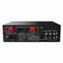 AMP Wiibo -100 - Amplificateur audio HIFI - Connexion Bluetooth - Réponse linéaire avec 50W + 50W Power - Microphone et USB Entr