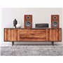 AMP Wiibo -100 - Amplificateur audio HIFI - Connexion Bluetooth - Réponse linéaire avec 50W + 50W Power - Microphone et USB Entr