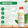 PLANTAWA Savon Potassique 1L | Solution Concentrée à Diluer | Ingrédient Naturel Polyvalent | Idéal pour Préparations Maison | É