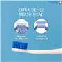 Brosse À Dents Manuelle Curaprox – Édition Fox & Bunny 2024 | Poils Ultra-doux Pour Dents Et Gencives Sensibles | Lot De 2 | Ora