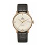 Montre Homme Rado R22861765