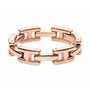 Bracelet Femme Tommy Hilfiger 2700408 25 cm