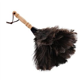 Plumeau en plumes d'autruche avec manche en bois massif pour travaux ménagers