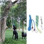 Corde élastique pour Chien à Ressort en Acier Inoxydable pour Jouer en Ple