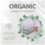 Momo Lifestyle Égouttoir à séchage Rapide pour évier de Salle de Bain - Organiseur d'accessoires en Terre de diatomée - Égouttoi