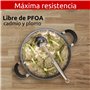 Lagostina Tempra Mineral Casserole avec couvercle, acier et aluminium avec revêtement minéral+ Ø 26 cm, poignées en silicone, ef