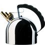 Alessi 9091 FM Bouilloire de Design avec Sifflet Mélodique Acier et PA Noir