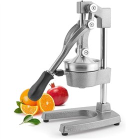 H&h spremimelograno leva professionale in metallo grigio cm29x40