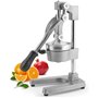 H&h spremimelograno leva professionale in metallo grigio cm29x40