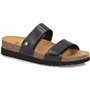 Sandales pour Femme Scholl MF314841004 Noir