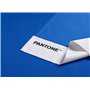 Osama Home Pantone™ Lot de 2 torchons 50 x 70 cm en 100% Coton 220 g. 1 Couleur Unie avec Logo et 1 nid d'abeille. 2 pièces, Ble