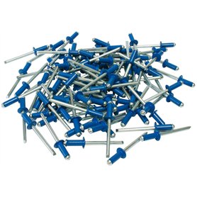 Cora 000116015 Kit de 100 rivets de fixation pour plaque d'immatriculation